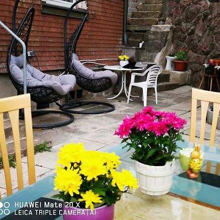 Rosen Garten Haus ทิทิเซ-นอยชตัดท์ ภายนอก รูปภาพ